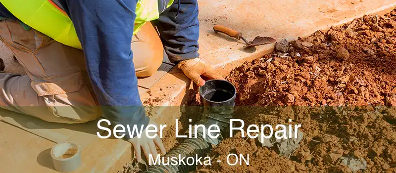  Sewer Line Repair Muskoka - ON
