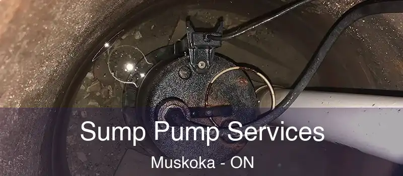  Sump Pump Services Muskoka - ON