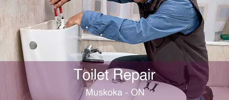  Toilet Repair Muskoka - ON