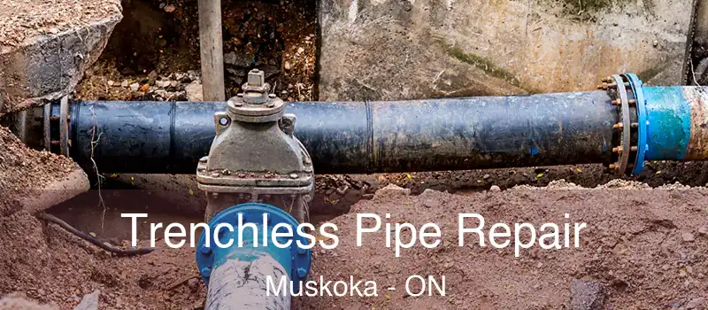 Trenchless Pipe Repair Muskoka - ON