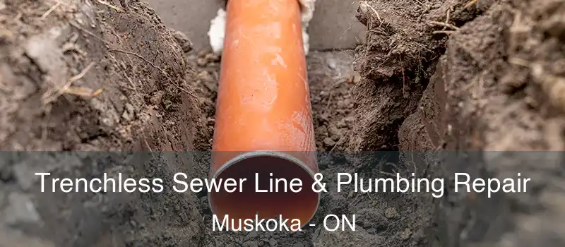  Trenchless Sewer Line & Plumbing Repair Muskoka - ON