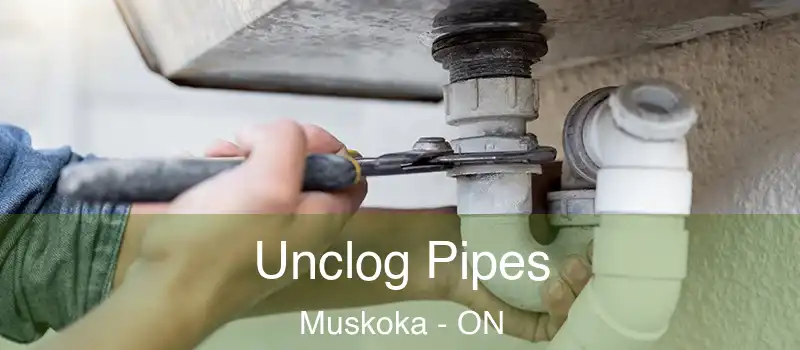  Unclog Pipes Muskoka - ON