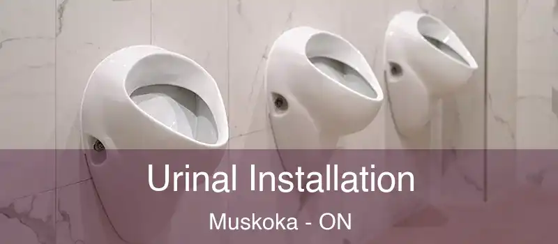  Urinal Installation Muskoka - ON