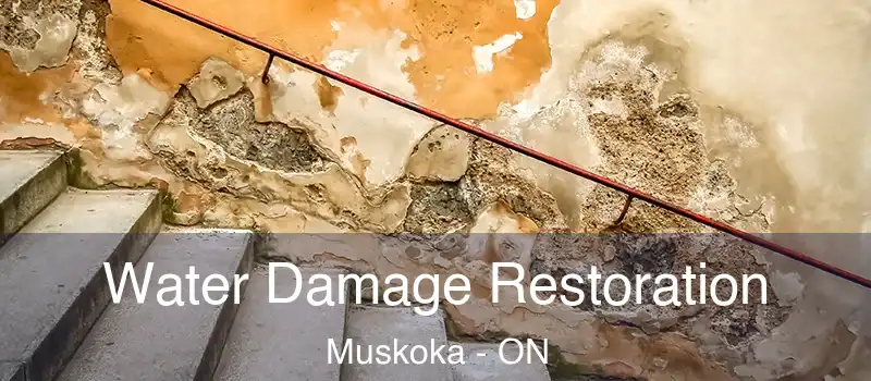  Water Damage Restoration Muskoka - ON