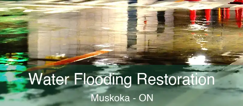  Water Flooding Restoration Muskoka - ON