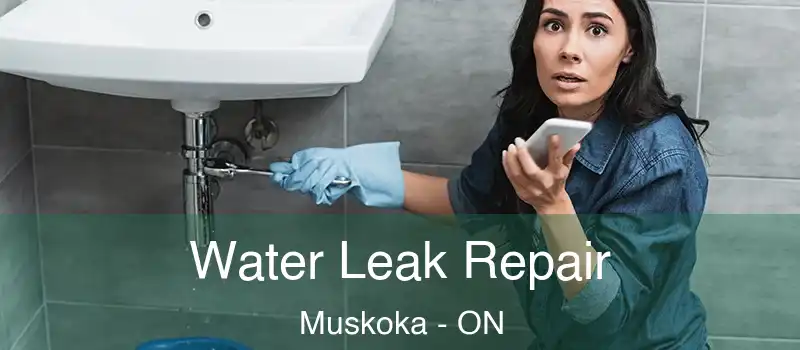  Water Leak Repair Muskoka - ON