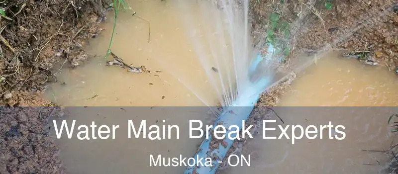  Water Main Break Experts Muskoka - ON