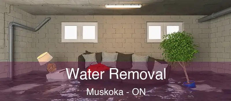  Water Removal Muskoka - ON