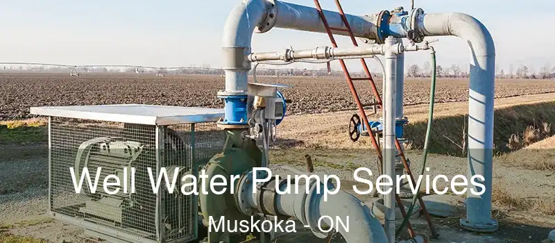  Well Water Pump Services Muskoka - ON